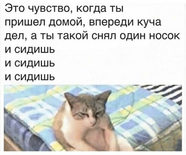 Прикольные и смешные картинки