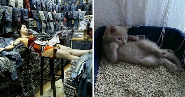 Безобразно классные позы, к которым нас не готовила жизнь