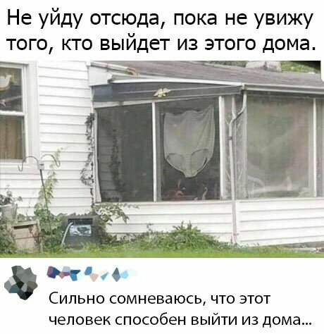 Скрины из социальных сетей