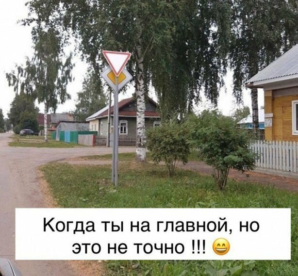 Прикольные и смешные картинки