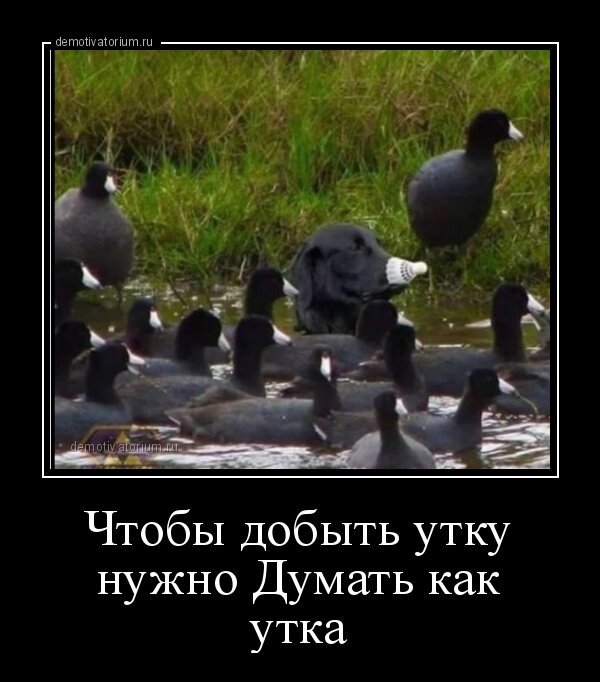 Утка мем. Утка мемы. Приколы про утку. Утка шутка. Уточка Мем.