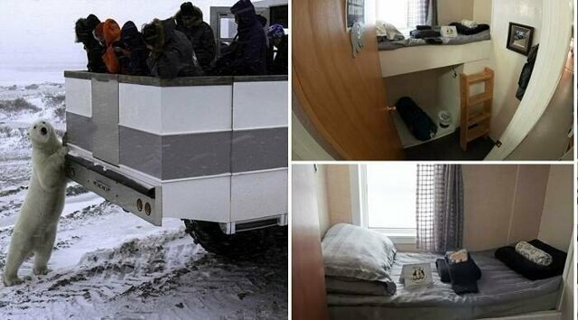 The Great White Bear Tundra Lodge: мобильный отель для любителей белых медведей