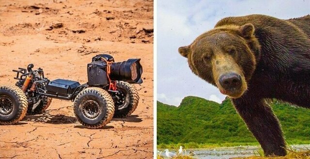 Фотограф прикрепил камеру к машинке с ДУ и снимает смешную реакцию диких зверей