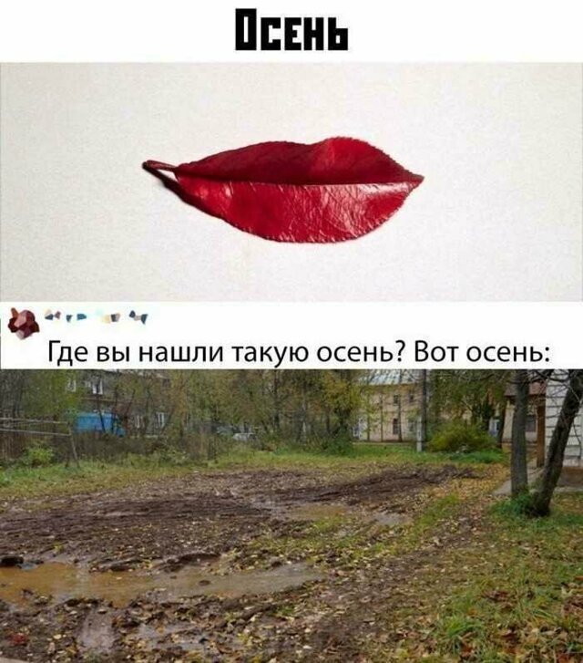 Прикольные открытки
