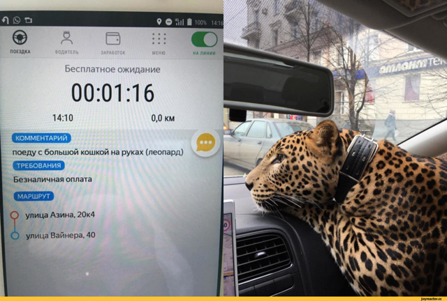 Странные просьбы клиентов такси