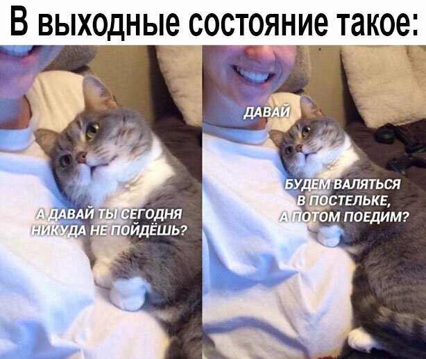 Прикольные и смешные картинки