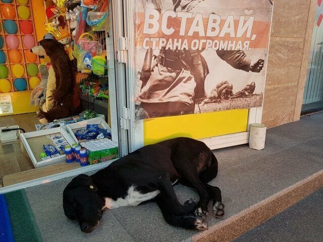 С добрым утром!