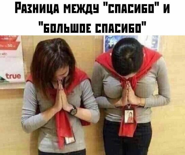 Прикольные и смешные картинки