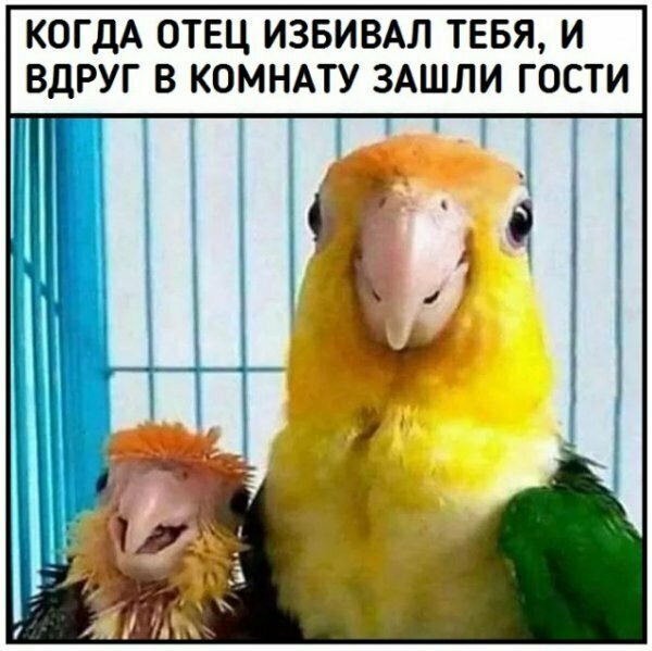 Картинки с надписями
