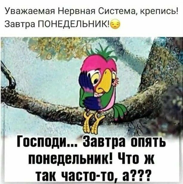 Прикольные и смешные картинки
