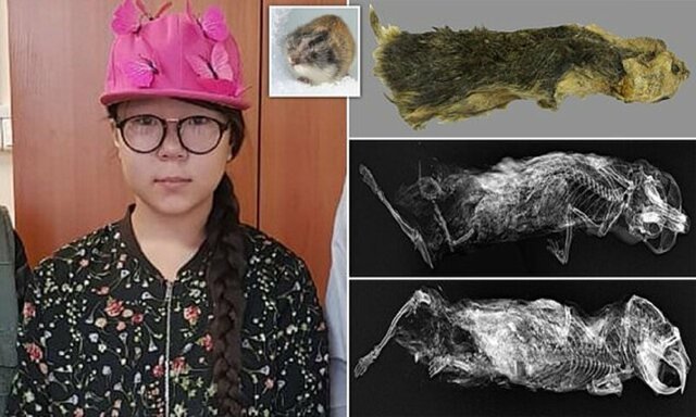 14-летняя сибирячка нашла доисторическое животное