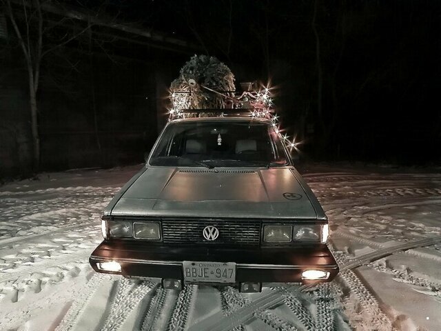 Автовсячина
