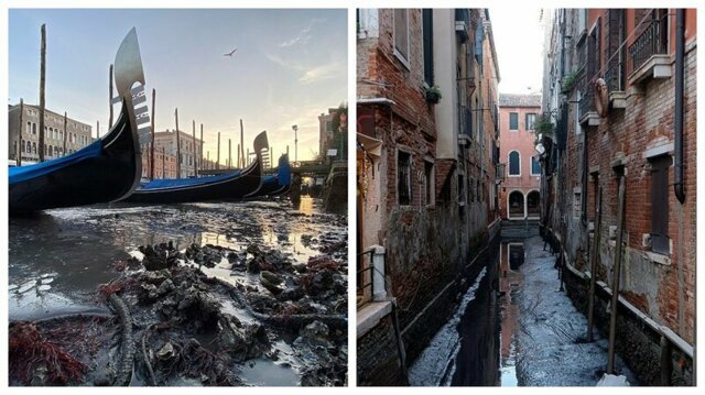 На Венецию обрушилась новая беда