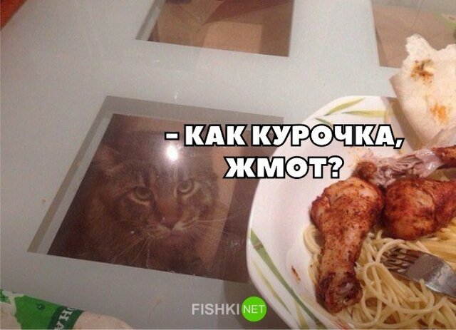 Прикольные и смешные картинки