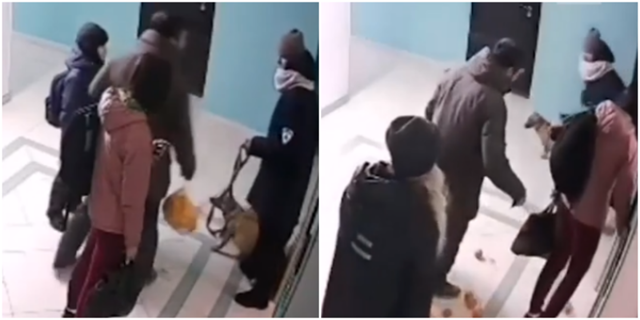 Любитель мандаринок из Владивостока отпинал женщину и её собак