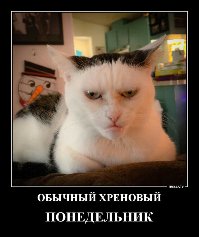 Хреновое настроение. Хреновое настроение