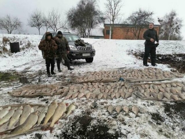 На все деньги: «сетевики» вычерпали из озера гору рыбы, теперь их могут посадить
