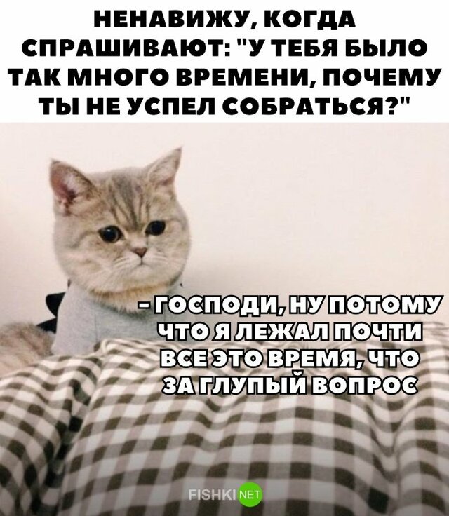 Прикольные и смешные картинки