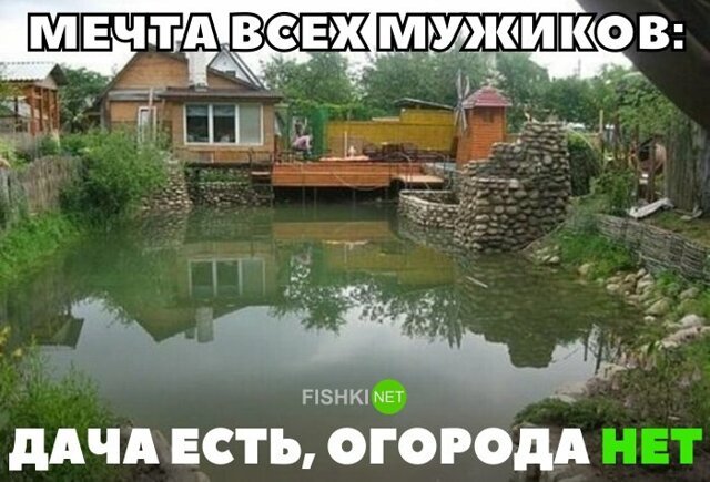 Прикольные и смешные картинки