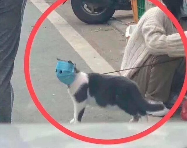 Принудительная госпитализация неизбежна
