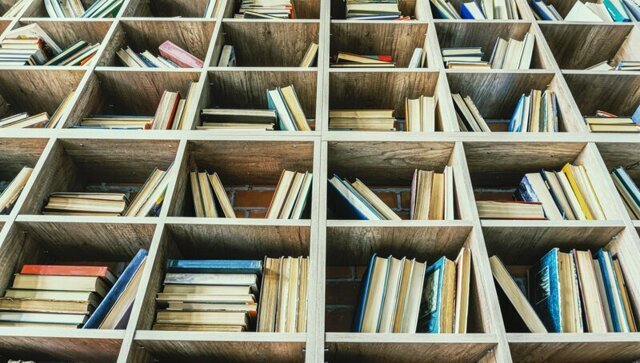 "Ростелеком" и руководство упрятали сельскую библиотекаршу в "долговую яму" за скачанные книги