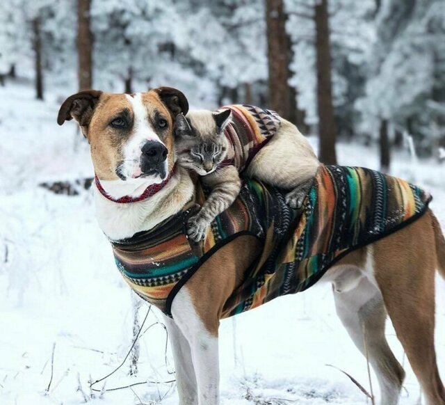 С добрым утром