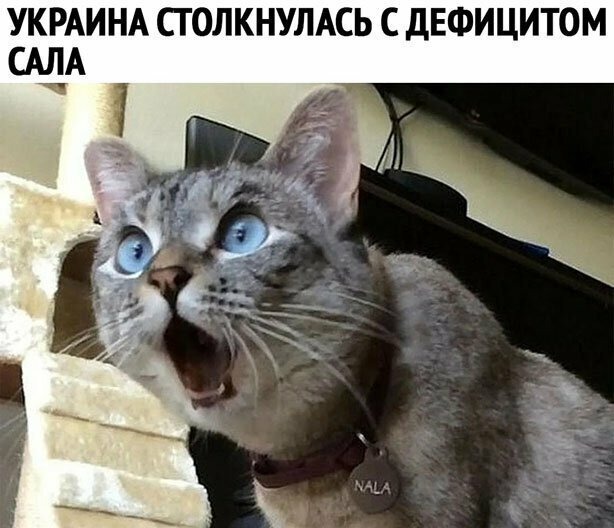 Прикольные и интересные картинки