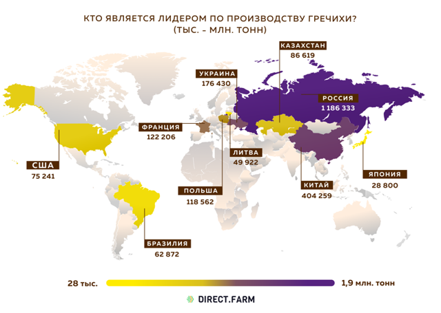 Страны-лидеры по производству гречихи