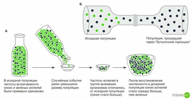 Сколько раз человечество было на грани исчезновения? Прямой эфир на Fishki.net