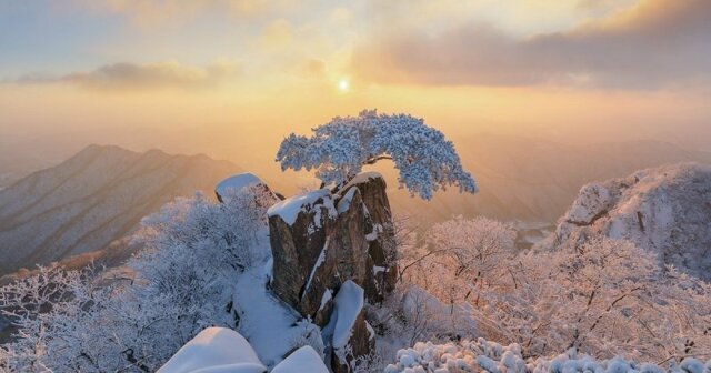 Утренняя коллекция свежих снимков за 21.02.2020