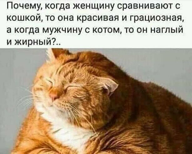 Прикольные и смешные картинки