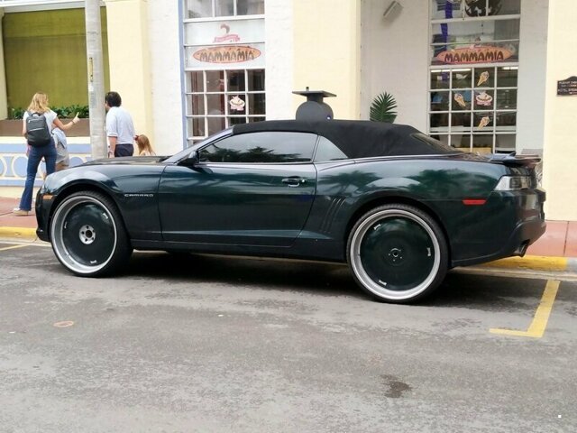 Автовсячина