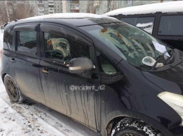 Фекальный мститель: в Кемерове автомобилиста наказали за занятое парковочное место