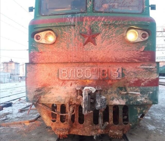 В Казахстане поезд сбил насмерть 37 лошадей