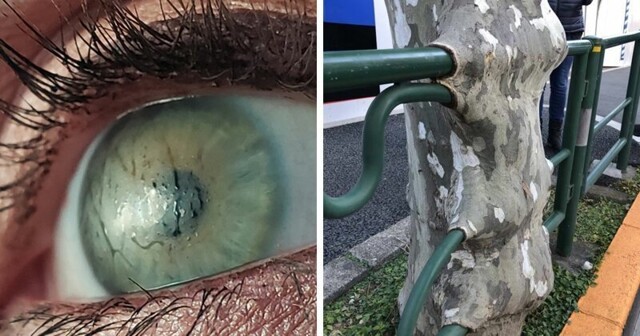 Надо же уметь так снимать, чтобы фото выглядели как отфотошоплены