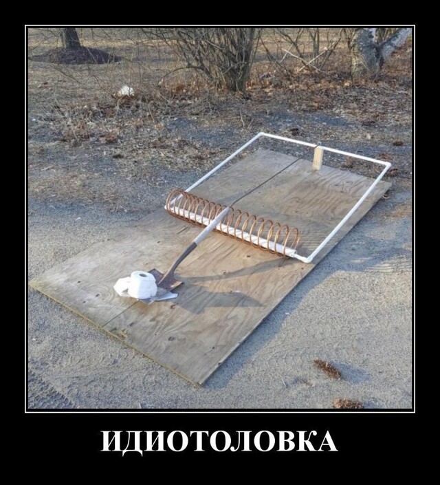 Демотиваторы