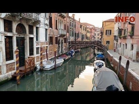 В очистившихся каналах Венеции появились дельфины