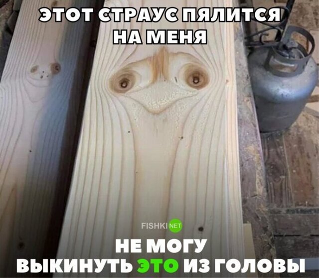 Немного весёлых картинок