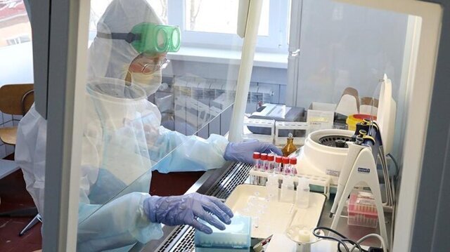 Российские учёные нашли дешёвый и доступный способ уничтожения вируса