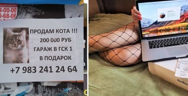 Боги маркетинга, способные продать даже кота с гаражом