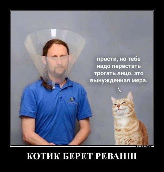 Веселые и забавные жизненные демотиваторы для хорошего настроения