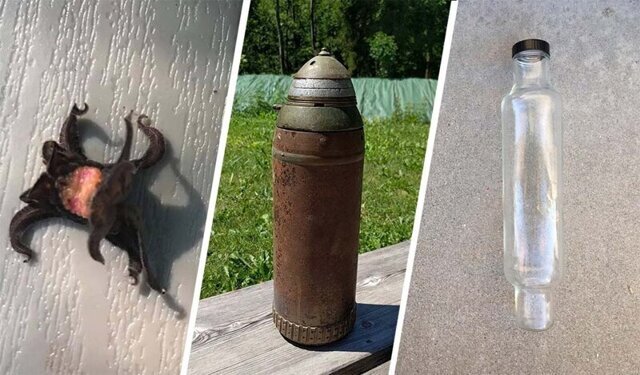Удивительные штуки, которые поставят в тупик даже бывалого знатока