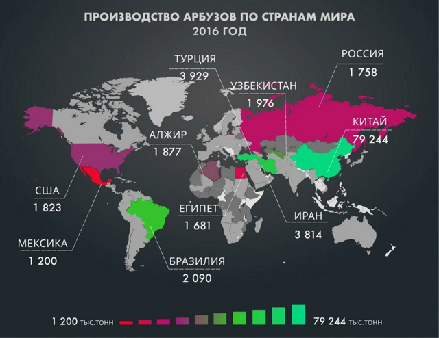 Страны-лидеры по выращиванию арбузов