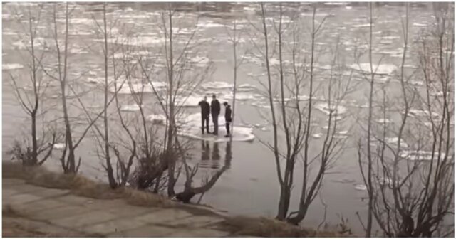 В Новокузнецке три "мамонтенка" решили уплыть в другой район на льдине