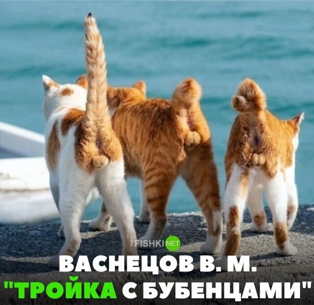 Смешные картинки из соц сетей