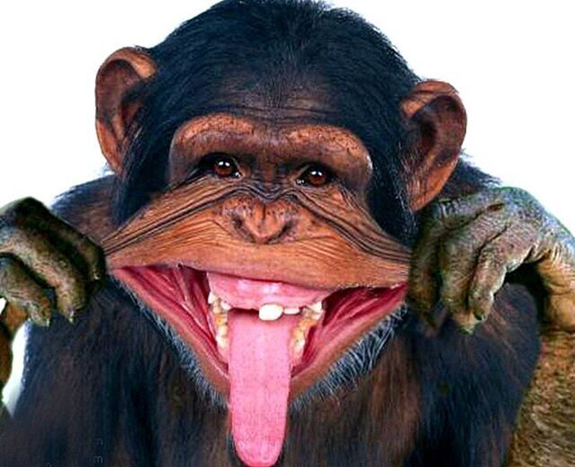 Очень старые анекдоты, но с картинками