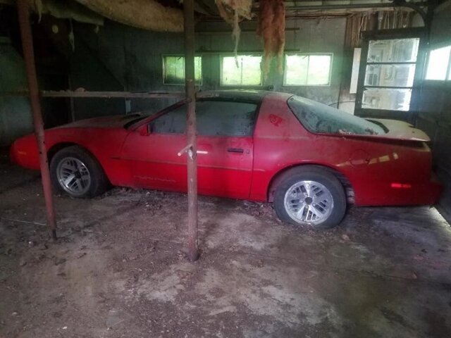 Pontiac Firebird провел 24 года в гараже или Жар-птица в неволе