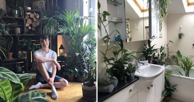 Фанат-садовник превратил квартиру в джунгли