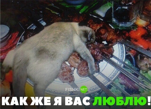 Прикольные и смешные картинки