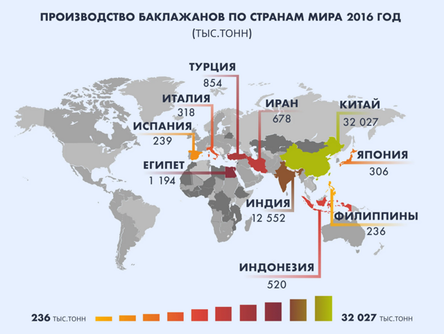 Страны-лидеры по производству баклажанов